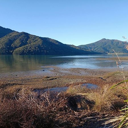 Marlborough Sounds Accommodation 792 Havelock Zewnętrze zdjęcie